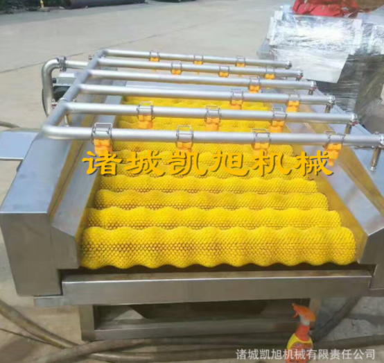 厂家商用土豆脱皮机 芋头土豆萝卜脱皮机 毛刷毛辊清洗脱皮机图4