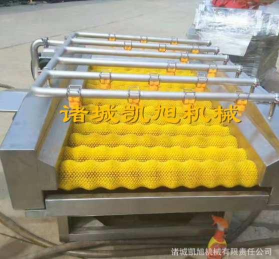 海蛎子清洗机 软刷头硬毛刷海鲜清洗设备 毛刷毛辊清洗脱皮机图4