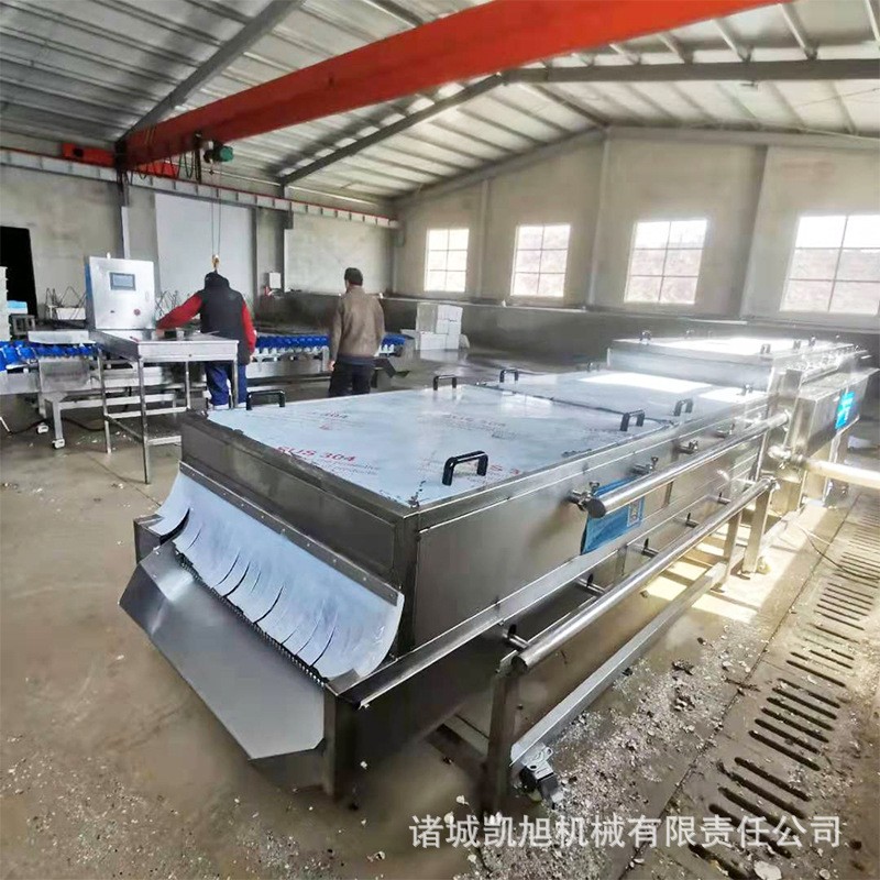 海蛎子去泥清洗设备 生姜洋葱清洗机 红枣胡萝卜清洗设备供应