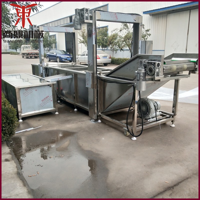 海参清洗机 海参翻浪清洗机 多功能气泡清洗机 源头工厂图2