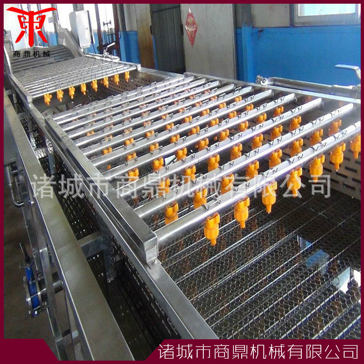 蔬菜清洗流水线