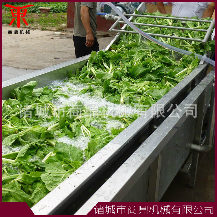 蔬菜清洗流水线