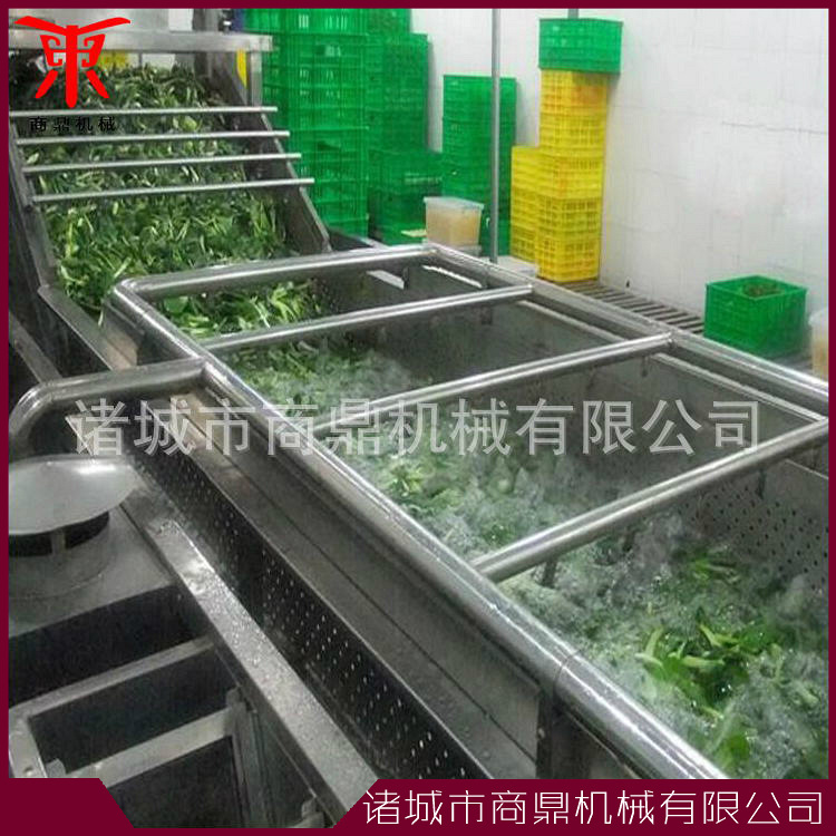 蔬菜清洗流水线
