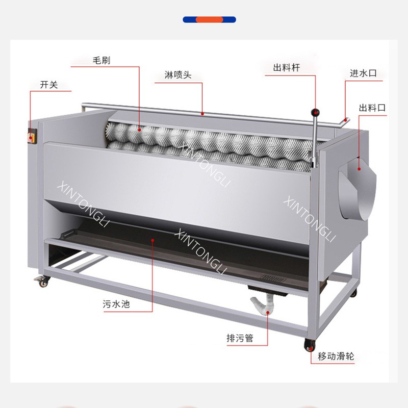 南瓜子毛辊去皮清洗机 菜籽去泥沙清洗机 坚果类去泥去皮一体机图4