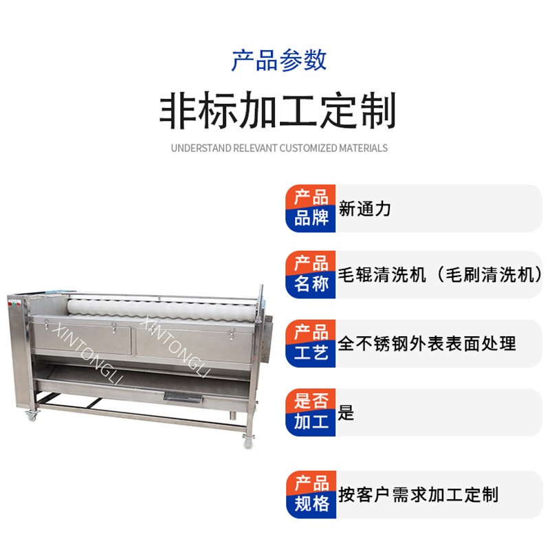 南瓜子毛辊去皮清洗机 菜籽去泥沙清洗机 坚果类去泥去皮一体机图5