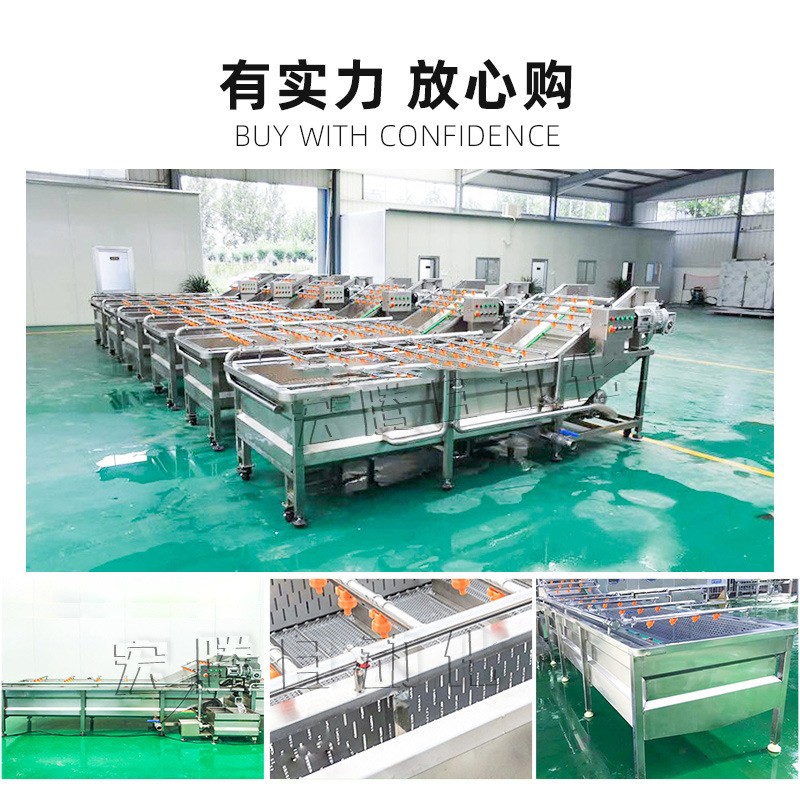 鲫鱼清洗加工流水线 全自动鲫鱼气泡清洗机 海产品喷淋清洗设备图3