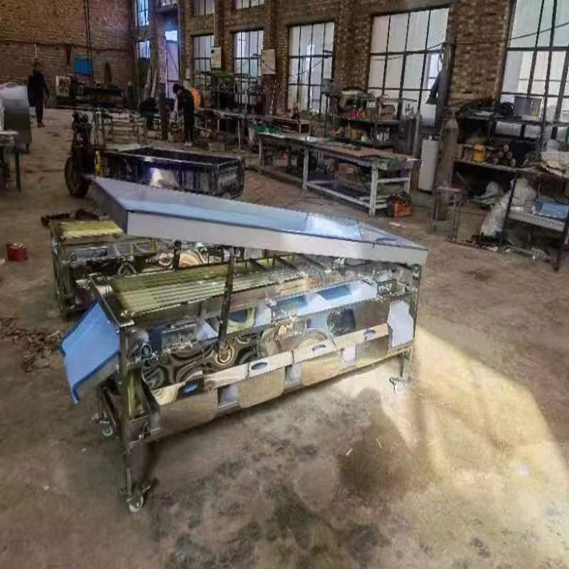 槟郎分级机冬枣筛选机橄榄分拣机山楂筛果机猕猴桃分选机图3