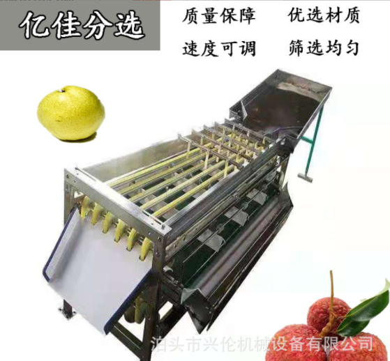 无花果分拣机 脐橙选果机 不锈钢材质斜板出料果蔬分选设备
