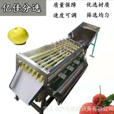 无花果分拣机 脐橙选果机 不锈钢材质斜板出料果蔬分选设备