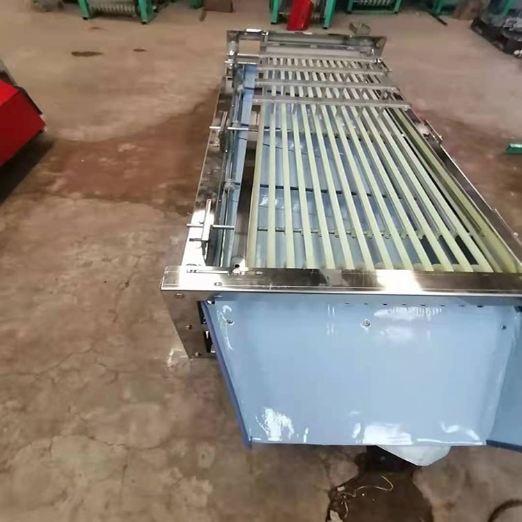 无花果分拣机 脐橙选果机 不锈钢材质斜板出料果蔬分选设备图2