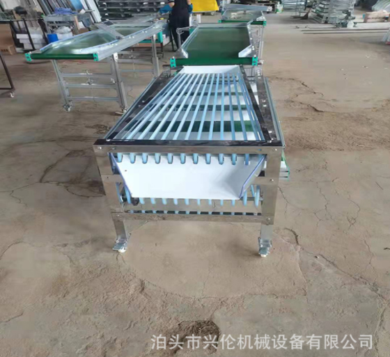无花果分拣机 脐橙选果机 不锈钢材质斜板出料果蔬分选设备图3
