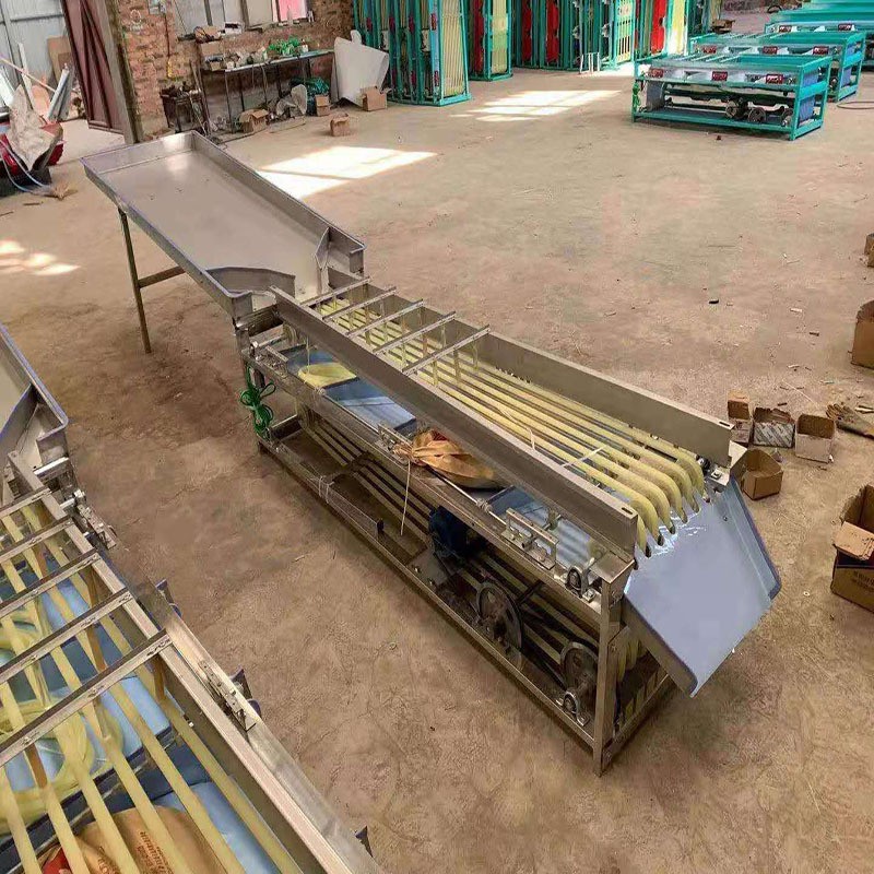 无花果分拣机 脐橙选果机 不锈钢材质斜板出料果蔬分选设备图5