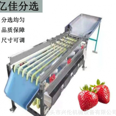 槟郎分级机冬枣筛选机橄榄分拣机山楂筛果机猕猴桃分选机