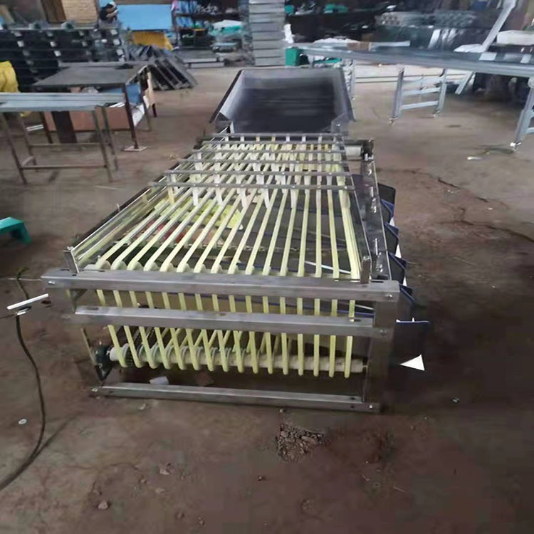 槟郎分级机冬枣筛选机橄榄分拣机山楂筛果机猕猴桃分选机图4