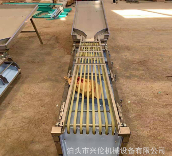 槟郎分级机冬枣筛选机橄榄分拣机山楂筛果机猕猴桃分选机图2