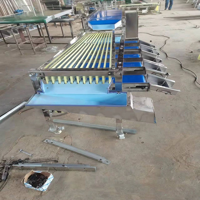 脐橙筛选机百香果分拣机核桃分级机李子分果机皮带式分选机图3