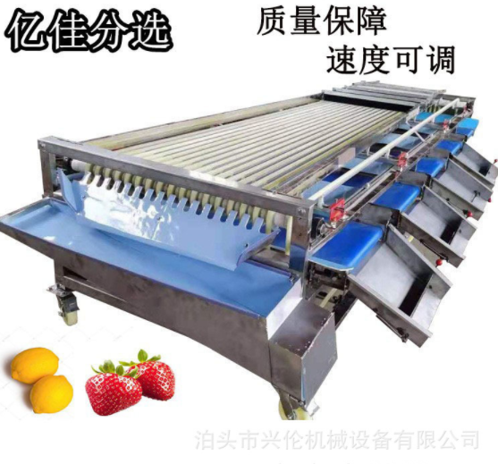 脐橙筛选机百香果分拣机核桃分级机李子分果机皮带式分选机