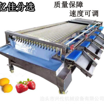 脐橙筛选机百香果分拣机核桃分级机李子分果机皮带式分选机