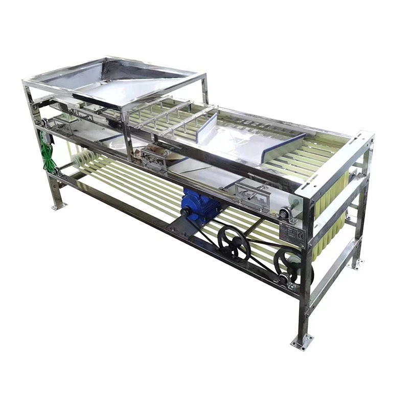 脐橙筛选机百香果分拣机核桃分级机李子分果机皮带式分选机图5