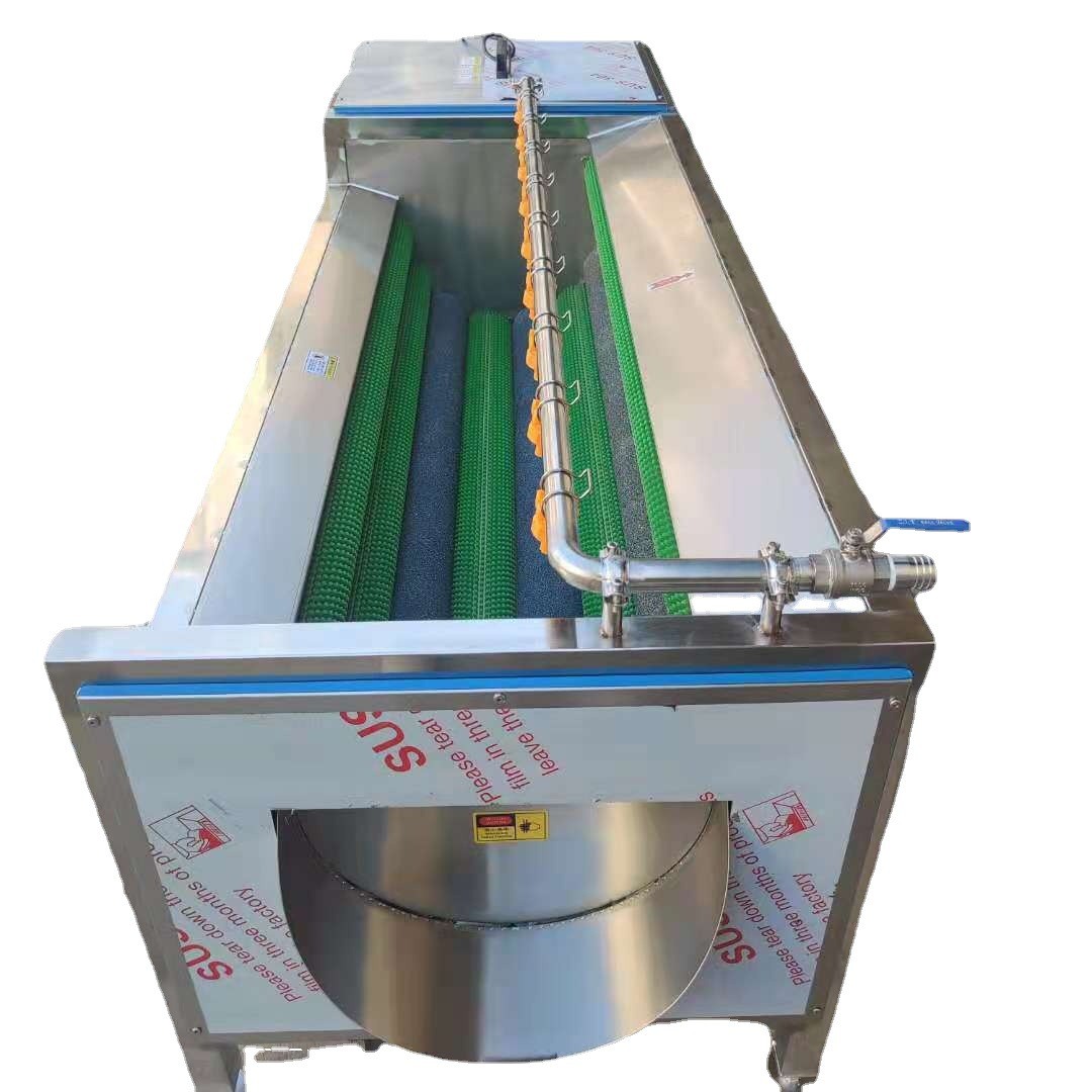 商用 果蔬去皮清洗机 全自动毛辊毛刷土豆芋头去皮清洗设备机图5