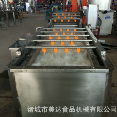 商用食品莲藕果蔬气泡清洗机 全自动气泡喷淋红薯清洗设备