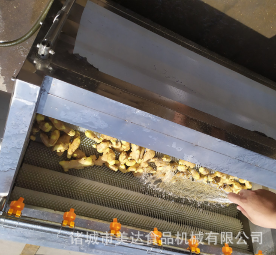 毛辊萝卜清洗机 全自动净菜毛辊脱皮机 土豆地瓜去皮清洗设备图4