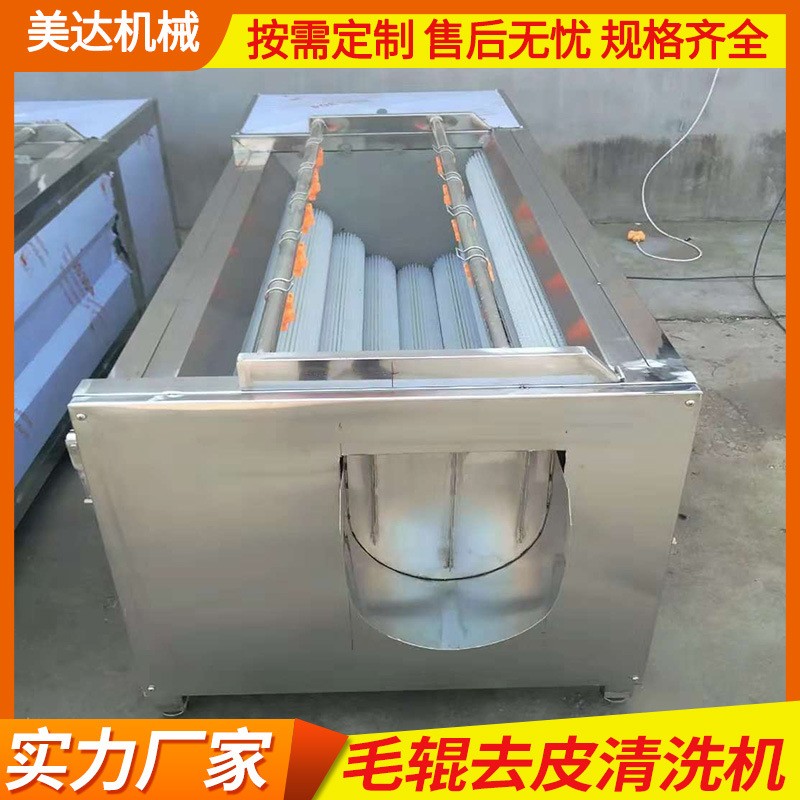 全自动毛辊清洗去皮机 土豆芋头脱皮毛刷清洗机 根茎类果蔬洗菜机图2