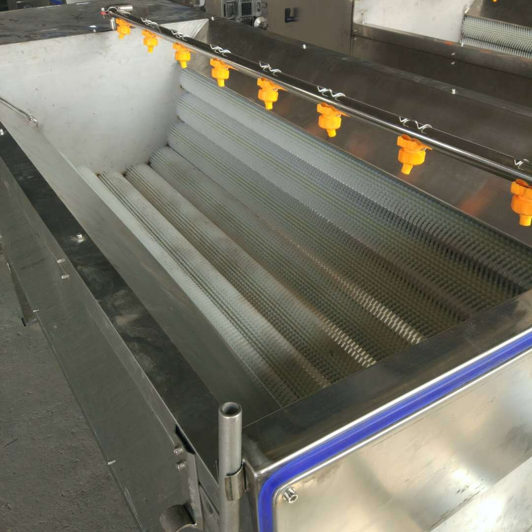 全自动毛辊清洗去皮机 土豆芋头脱皮毛刷清洗机 根茎类果蔬洗菜机图4