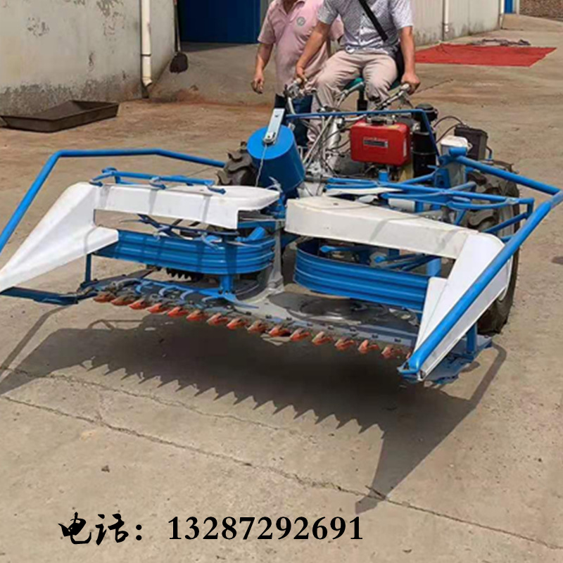 微信图片_20190830093544_副本