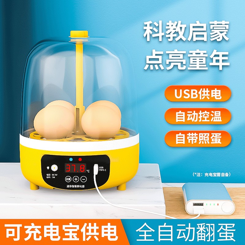 工厂批发小鸡孵化器小型家用智能孵化机跨境迷你鸡蛋孵蛋器 孵蛋机图2