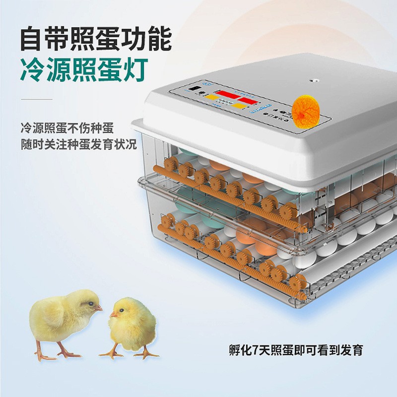 工厂批发小鸡孵化器小型家用智能孵化机跨境迷你鸡蛋孵蛋器 孵蛋机图4