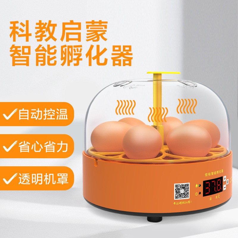 工厂批发小鸡孵化器小型家用智能孵化机跨境迷你鸡蛋孵蛋器 孵蛋机图3