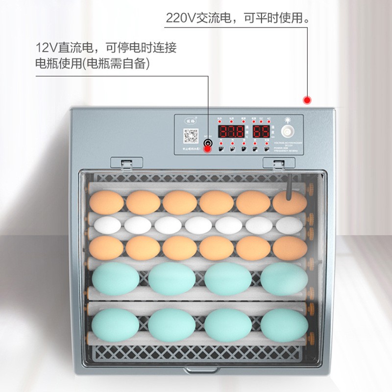 佳裕小鸡孵化器小型家用孵蛋器全自动孵化机鸡蛋鸽子智能孵化箱图4