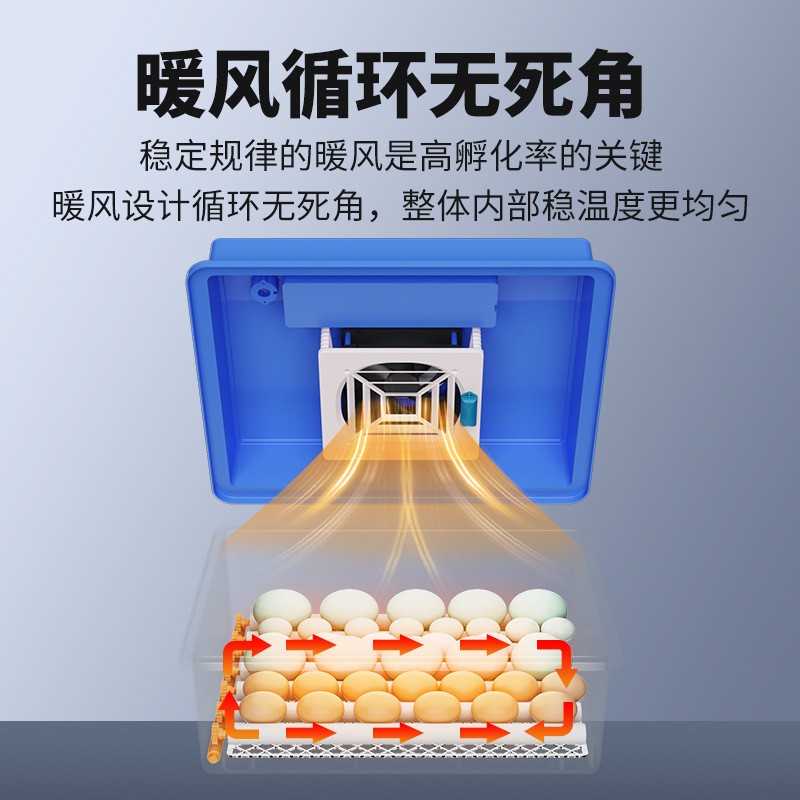 佳裕孵化器小型家用鸡蛋孵化机4-176枚智能全自动孵蛋器孵化箱图2