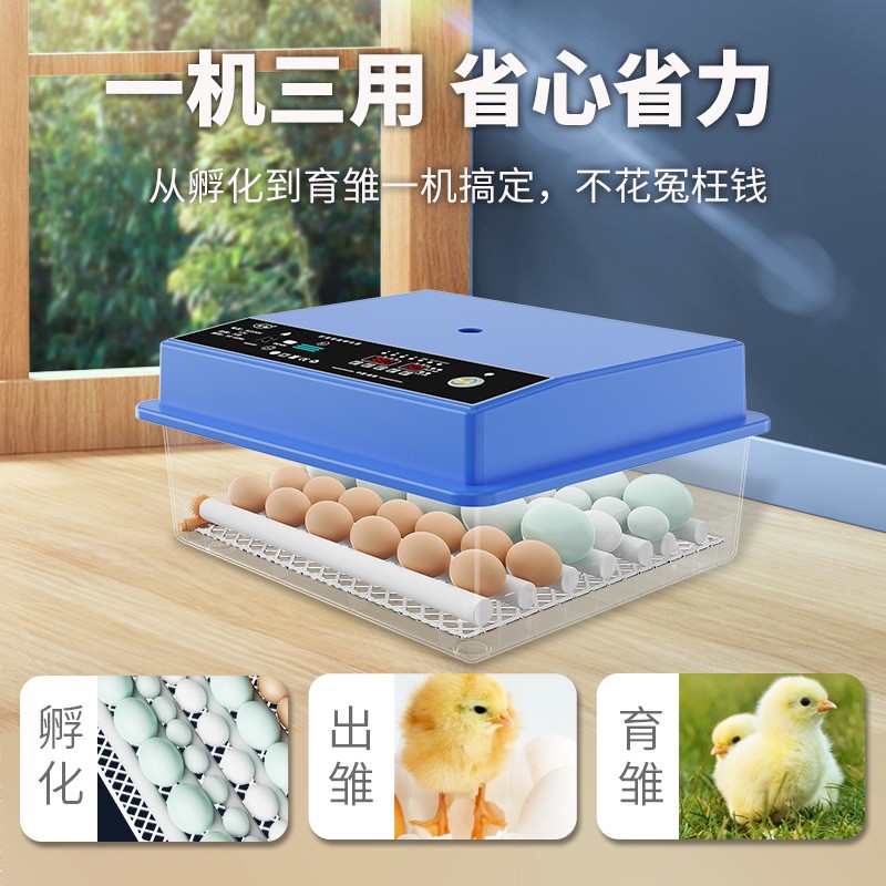 佳裕孵化器小型家用鸡蛋孵化机4-176枚智能全自动孵蛋器孵化箱图3