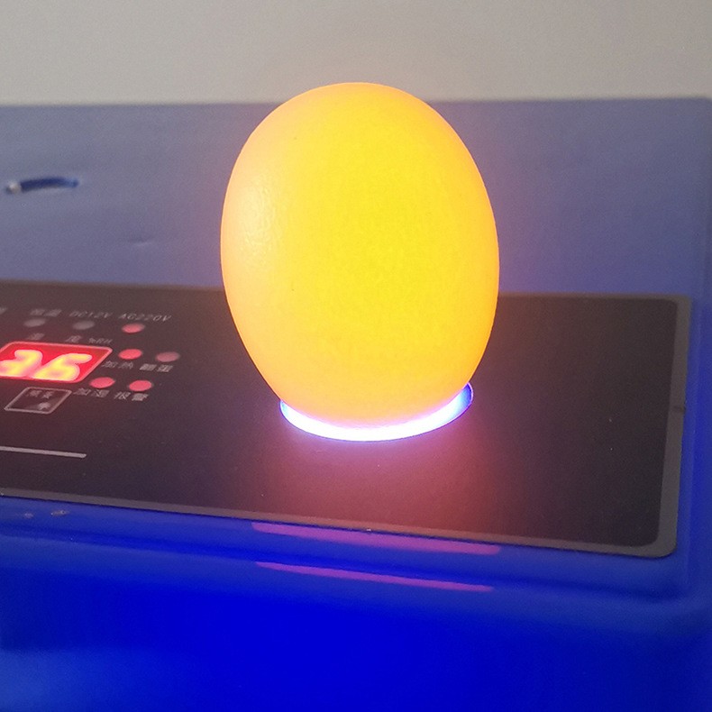 佳裕孵化器小型家用鸡蛋孵化机4-176枚智能全自动孵蛋器孵化箱图4