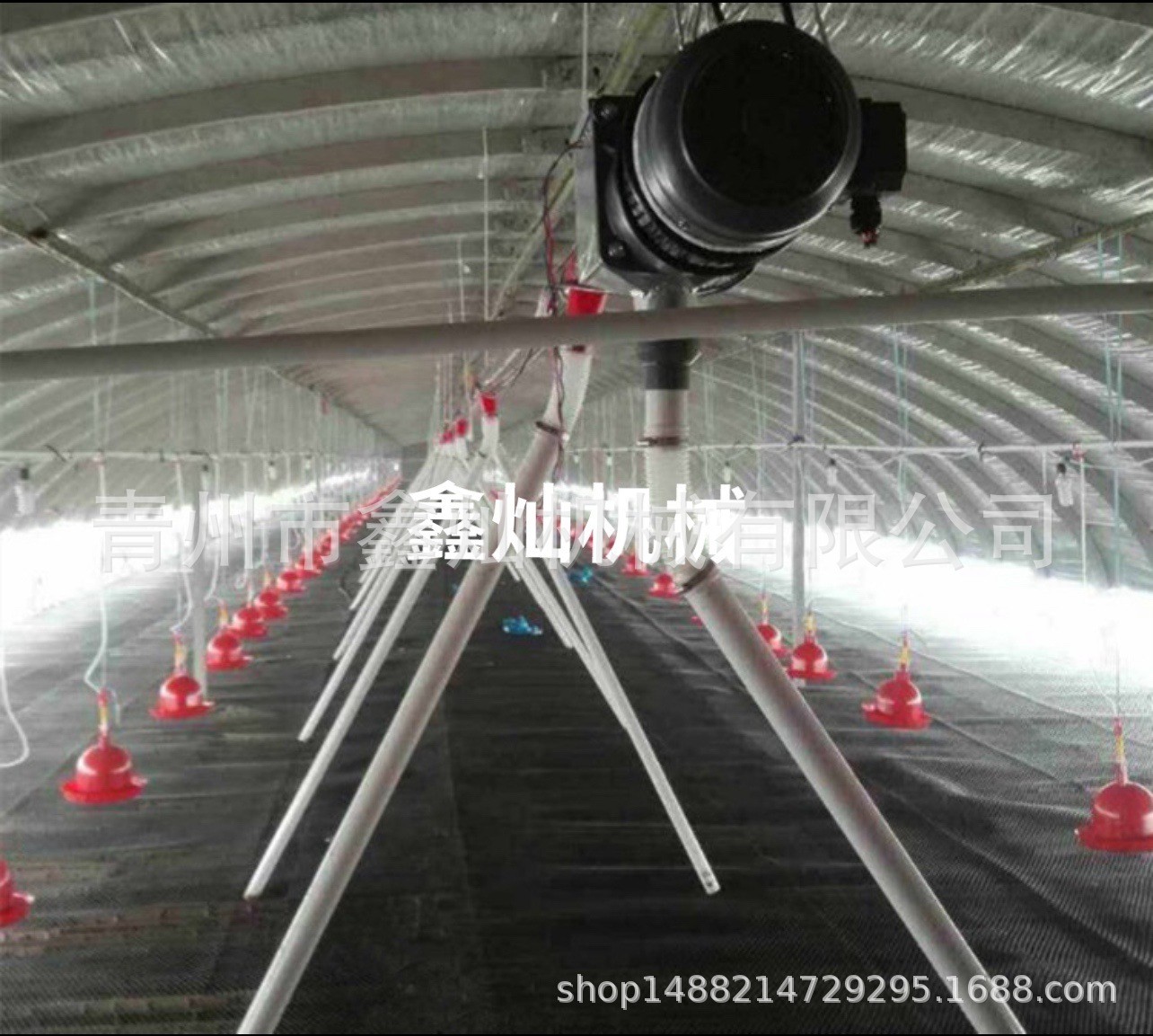 养鸭料线 肉鸭自动喂养设备自动料线 养殖料线图3