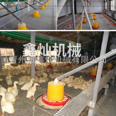 养鸭料线 肉鸭自动喂养设备自动料线 养殖料线