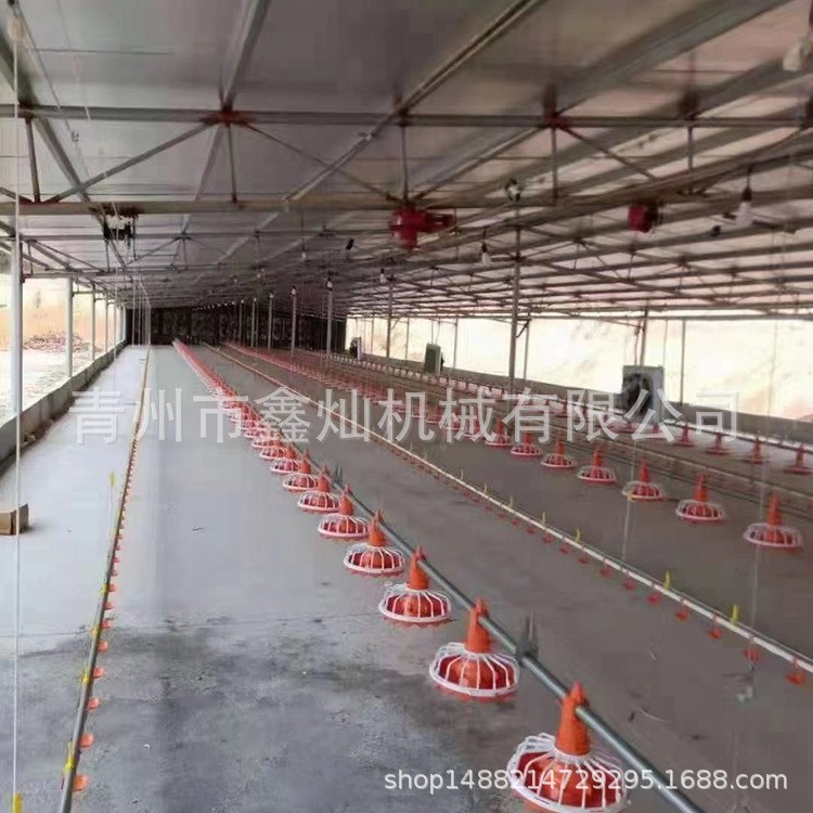 自动料线 鸡舍养鸡自动料线 肉鸡平养料盘式供料系统 养殖设备图2