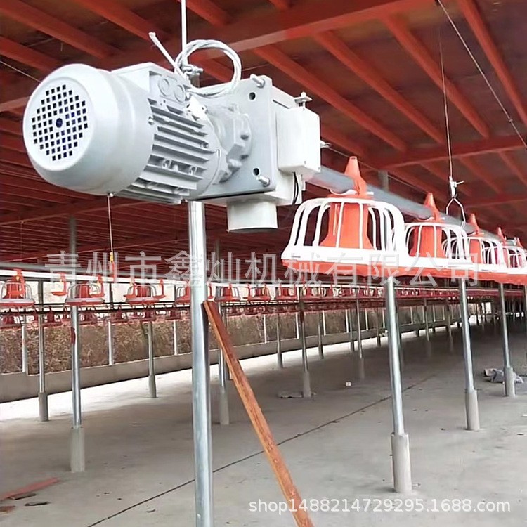 自动料线 鸡舍养鸡自动料线 肉鸡平养料盘式供料系统 养殖设备