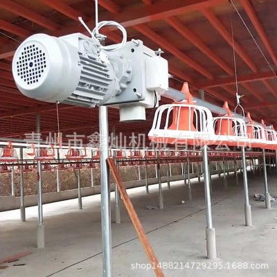 自动料线 鸡舍养鸡自动料线 肉鸡平养料盘式供料系统 养殖设备