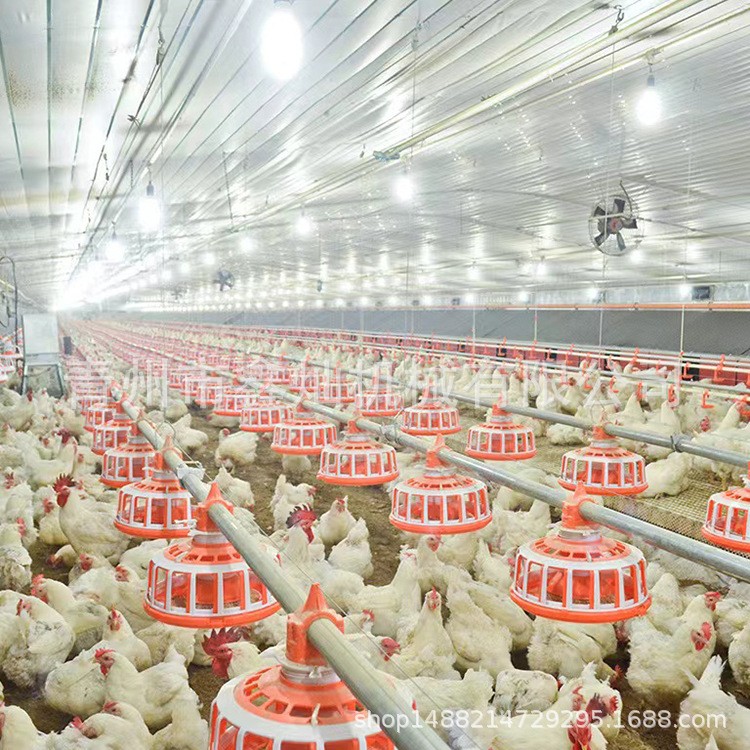 自动料线 鸡舍养鸡自动料线 肉鸡平养料盘式供料系统 养殖设备图3