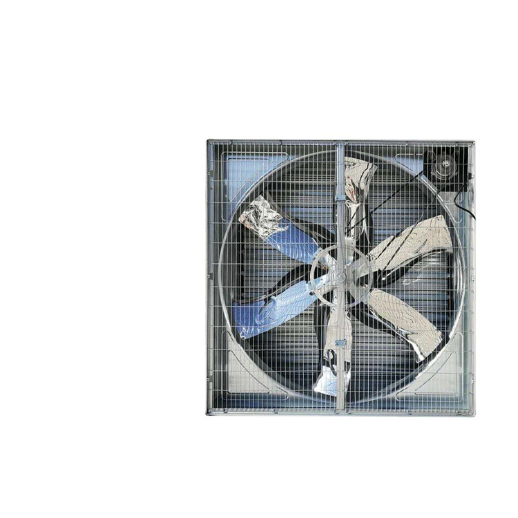 青岛大牧人负压风机 畜牧养殖工厂车间大功率强力降温工业排风机图5