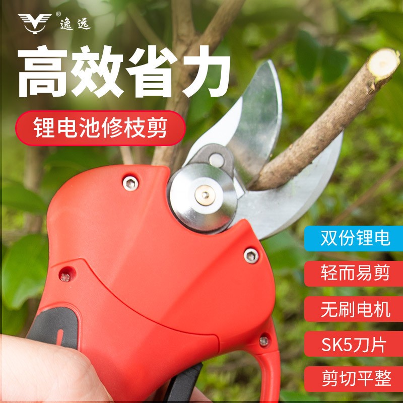 电动剪刀锂电修枝剪园林剪果树剪刀电动修枝剪园林果枝剪花艺剪图2