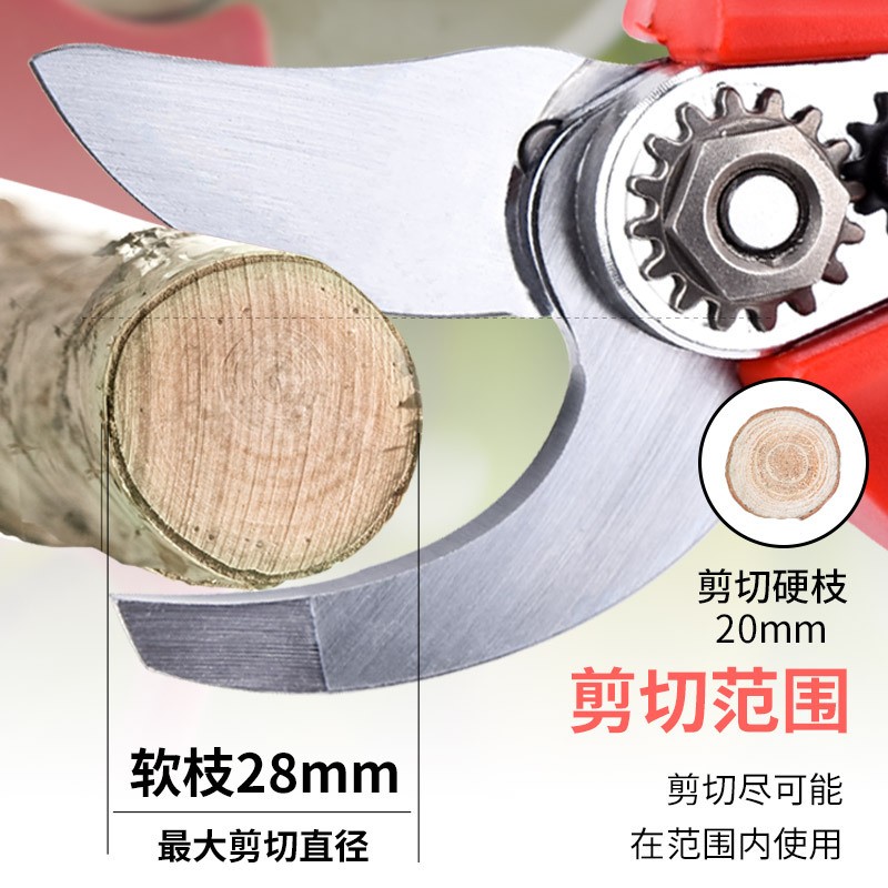 电动剪刀锂电修枝剪园林剪果树剪刀电动修枝剪园林果枝剪花艺剪图4