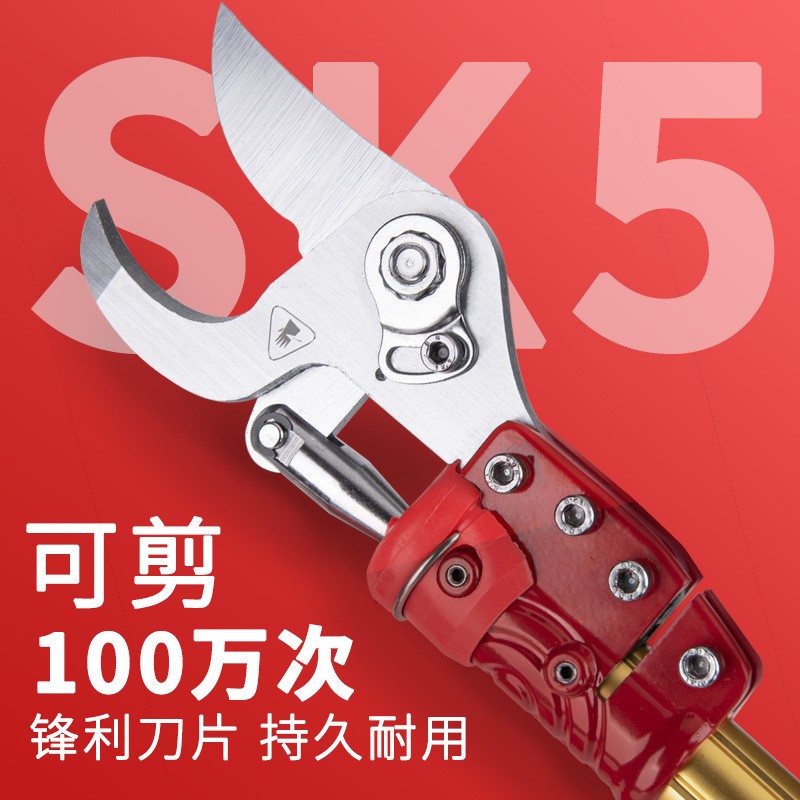 4公分可任意加长电动高枝剪园林树枝大功率锂电修枝剪图2