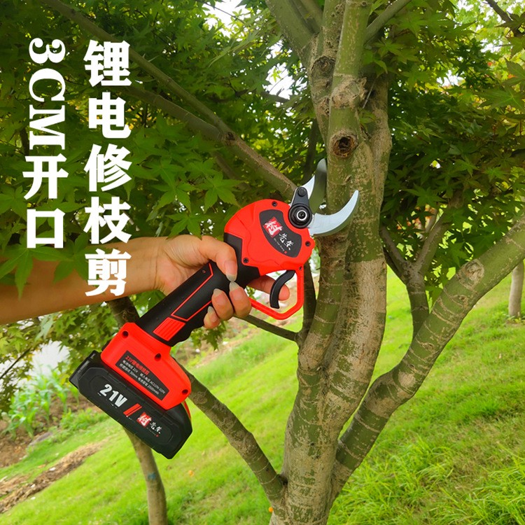 树先生手持充电无线锂电动修枝剪电剪刀园林工具三公分树枝果树剪图3