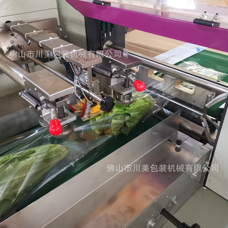 全自动青菜包装机水果蔬菜封口打包机莲藕玉米自动套袋枕式包装机图3