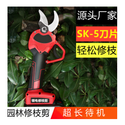 电动修枝剪园林剪刀果树树枝剪锂电剪果树修枝剪刀电动修枝剪