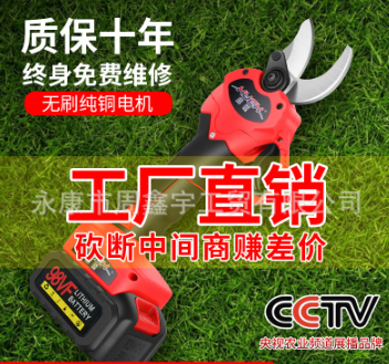 无线锂电电动剪刀果树修枝剪充电式强力园林手持电剪刀树枝电剪子图3